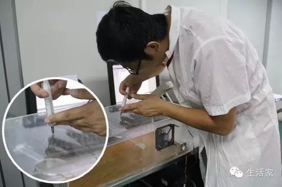 说明: 640.webp (7).jpg