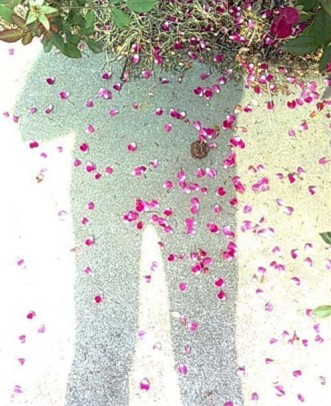 说明: http://www.elegantliving.cn/atta/1345599786500.jpg